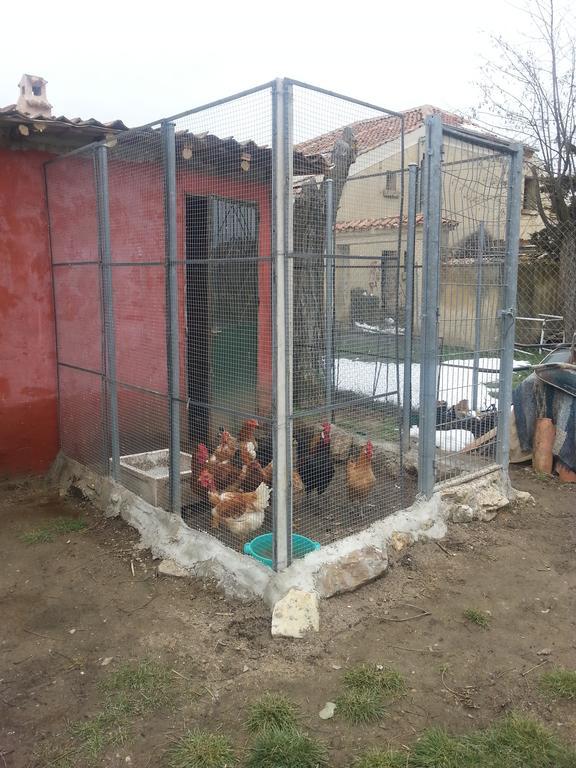Hostel El Refugio Del Dragon Arcones Exterior foto
